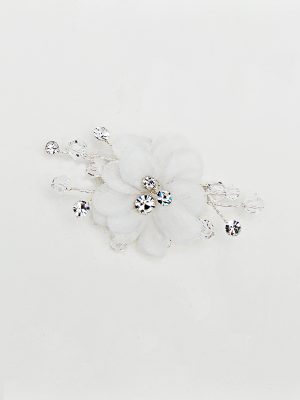 Y079 (1).jpg