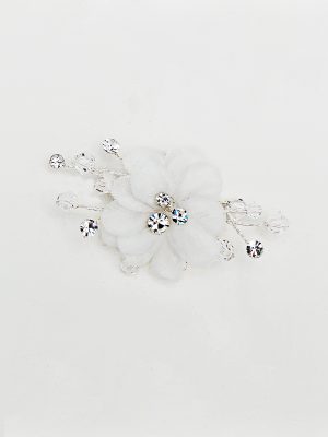 Y079 (1).jpg
